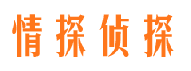 兴化市调查公司